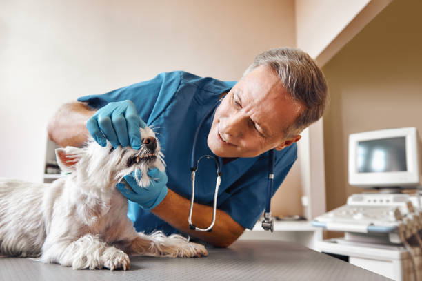 Best Emergency Dental Surgery in Bellevue, KY